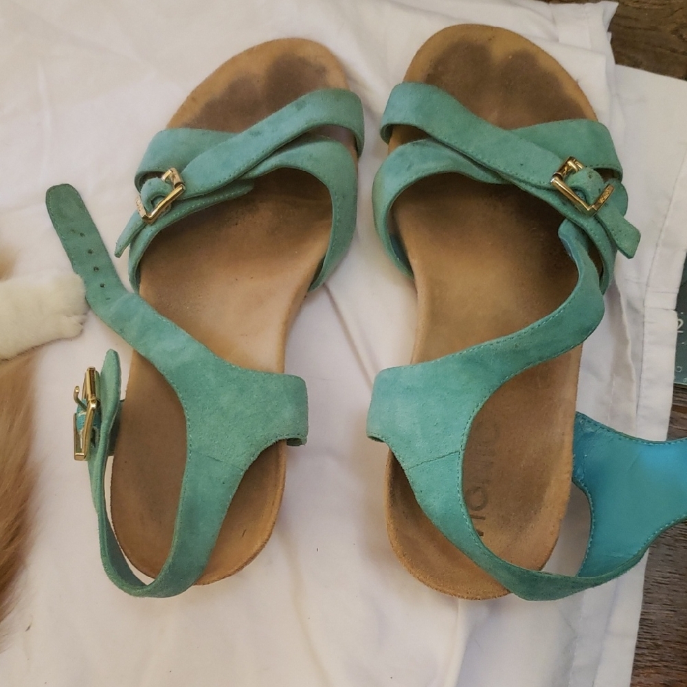 Vionic Teal Sandals with Gold Accents